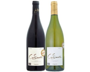 stuZNevԔ2{Zbg lCL@CV[Y I[KjbN ݔ C Zbg