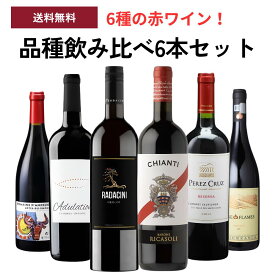 6種の赤ワイン！品種飲み比べ6本セット ワインセット（チリ / ルーマニア / アメリカ・カリフォルニア / フランス・コートデュローヌ / モルドバ / イタリア）