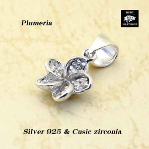 Vo[925ANZT[ Vo[ANZT[ vA  L[rbNWRjAlbNXy_ggbv nCAWG[@5-009