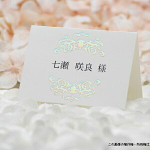 yȎD ʔ菤i̐ȎDƈꏏɃJ[gɓꂭzȎD