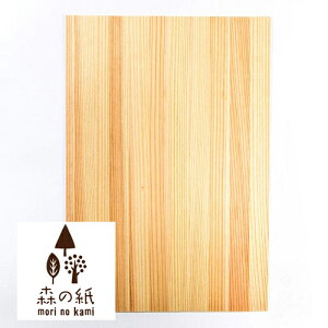 yzX̎ ɔ VR؂̎  A4TCY 20 CNWFbgv^[ CeAG݂̐X Mtg 蕨 v`Mtg  v[g b`{[C