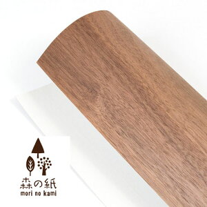 X̎ Ȃ ɔ ǎ VR؂̃V[g EHibg SV[^Cv A4TCY DIY ύ ǎ EH[y[p[ ؖ ؕ CeAG݂̐X Mtg 蕨 v`Mtg 