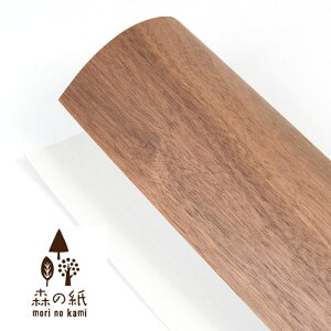 yzX̎ Ȃ ɔ ǎ VR؂̃V[g EHibg SV[^Cv 600×900mm DIY ύ ǎ EH[y[p[ ؖ ؕ CeAG݂̐X Mtg 蕨 v`M