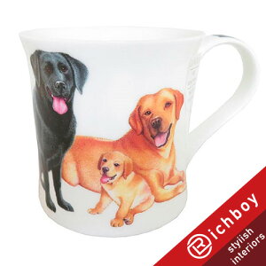 カップ ダヌーン カップの人気商品 通販 価格比較 価格 Com