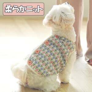 �j�b�g �x�X�g �Z�[�^�[ �{�^�� �� ���킢�� ������� �~�� �h�� �g���� �h�b�O�E�F�A ���p �����^�� ���^�� ���^�� �L�����v