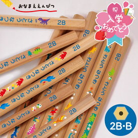 鉛筆 名入れ えんぴつ 2B B 名前入り鉛筆【ケース付】 1ダース 12本 六角 日本製 卒園 イラスト 入学 入学祝い 名前入り 入学準備 卒園 記念品 卒園記念 小学生 新学期 かわいい プレゼント 卒業式
