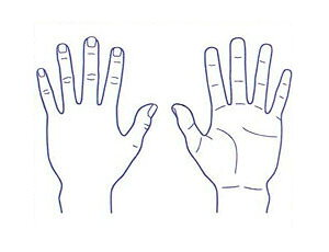 V`n^ ×pl̐} uv p^4050i40x50mmja@ @ @ S X^v