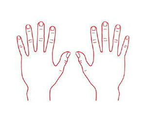 V`n^ ×pl̐} u̍bv p^2030i20x30mmja@ @ @ S X^v