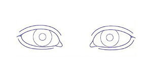 V`n^ ×pl̐} u-1v p^2471i24x71mmja@ @ @ S X^v