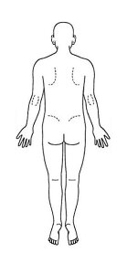 V`n^ ×pl̐} uSgijwʁjv p^40100i40x100mmja@ @ @ S X^v