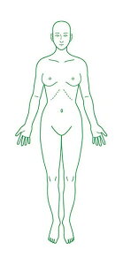 V`n^ ×pl̐} uSgiʁjv p^40100i40x100mmja@ @ @ S X^v