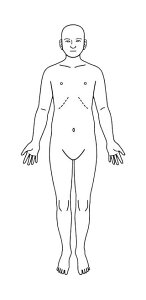 V`n^ ×pl̐} uSgiʁjv p^2060i20x60mmja@ @ @ S X^v