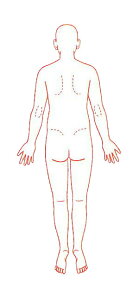 V`n^ ×pl̐} uSgiwʁjv p^2060i20x60mmj a@ @ @ S X^v