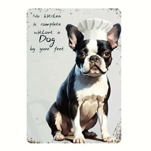 {XgeA@uLŔ@Bostonterrier@Lb`@CeA@{XeG݁@v[g@Mtg@@TCv[g