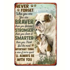 uhbO@uLŔ@bulldog@CeA@uG݁@v[g@Mtg@@TCv[g