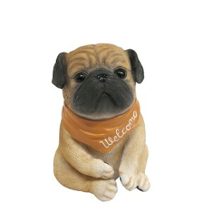 pO@u@AAj} welcome@K[fjOG݁@pug@@@؂@CeA@Mtg