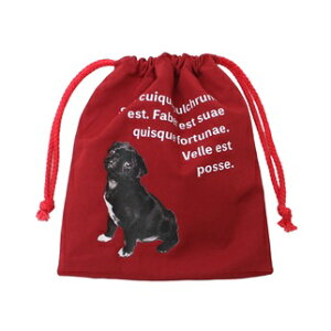 pO@В@pO@pOG݁@pOObY