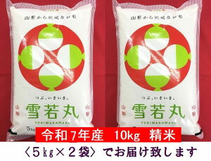 yāz 10kg ہiR`Yjߘa7NxY 䂫킩܂