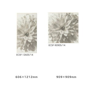 NVECibNXyECSF-XXXXS-14-CFz LIXILEINAX GRJbg Zt ECSF-1260S/14 ECSF-9090S/14 LIXIL INAXyiz