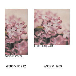 NVECibNXyECSF-XXXXS-301-CFz LIXILEINAX GRJbg Zt ECSF-1260S/301 ECSF-9090S/301 LIXIL INAXyiz