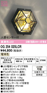 �G�N�X�e���A���C�g �I�[�f���b�N OG254025LCR