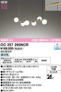 �V�����f���A �I�[�f���b�N OC257260NCR ������E�㕥���s��