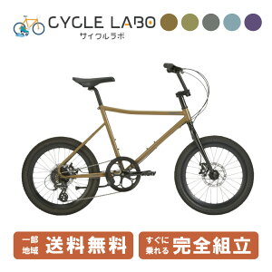 ~jx tern ^[ AMP F1 AvF1 2024