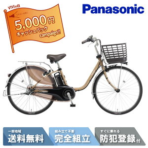�y5��~�L���b�V���o�b�N�L�����y�[��&2777�~CP��7��23:59�}�f���ő�11�{�z �d�����]�� �d���A�V�X�g���]�� �p�i�\�j�b�N Panasonic �r�r�EDX ViVi DX 24�C���` BE-FD433-T2 �}�b�g�I�[�c�x�[�W�� 2025