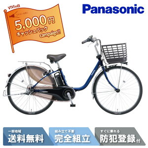 �y5��~�L���b�V���o�b�N�L�����y�[��&2777�~CP��7��23:59�}�f���ő�11�{�z �d�����]�� �d���A�V�X�g���]�� �p�i�\�j�b�N Panasonic �r�r�EDX ViVi DX 24�C���` BE-FD433-V P�t�@�C���u���[ 2025