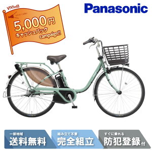 �y5��~�L���b�V���o�b�N�L�����y�[��&2777�~CP��7��23:59�}�f���ő�11�{�z �d�����]�� �d���A�V�X�g���]�� �p�i�\�j�b�N Panasonic �r�r�EEX ViVi EX 26�C���` BE-FE633-G2 �_�X�e�B�~���g 2025