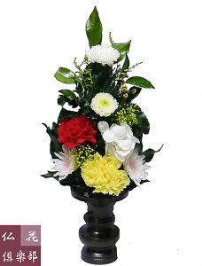 ԋỹvU[uht[ iSTCYj(Ԋ͕tĂ܂j ~ d R077