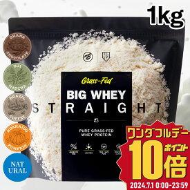 プロテイン バルクスポーツ ホエイ プロテイン グラスフェッド ビッグホエイストレート 1kg 人工甘味料不使用 無添加 宇治抹茶 チョコレート コーヒー 北海道パンプキン ナチュラル 男性 女性 植物由来甘味料ステビア使用