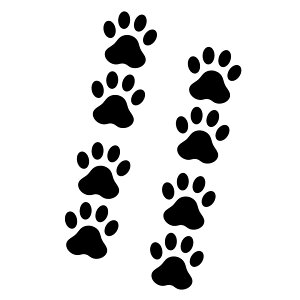  JbeBO XebJ[ ubN 45mm 8Zbg V[   L 킢 LYB  h v   X}z