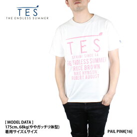 The Endless Summer エンドレスサマー 8574346 TES BIG LOCAL LOGO TEE Tシャツ TES テス ロゴ サーフ