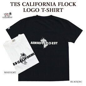 The Endless Summer エンドレスサマー 24574361 TES CALIFORNIA FLOCK LOGO T-SHIRT 半袖Tシャツ BUHI ロゴ メンズ レディース