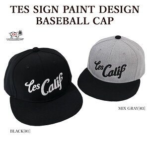 �yThe Endless Summer�z �G���h���X�T�}�[ 24574706 TES SIGN PAINT DESIGN BASEBALL CAP �L���b�v BUHI �h���イ �����Y ���f�B�[�X