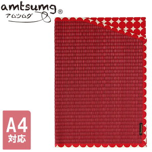 amtsumg AcO hLgP[X (A4TCYΉ) [/hbgbh] B01-24-00102  