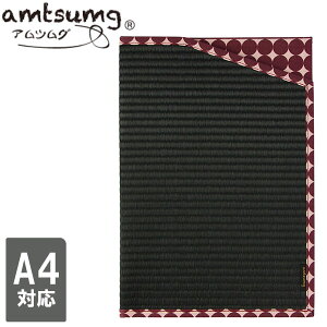 amtsumg AcO hLgP[X (A4TCYΉ) [/hbgp[v] B01-25-00103  