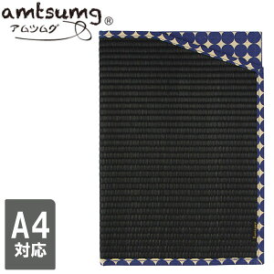 amtsumg AcO hLgP[X (A4TCYΉ) [/hbglCr[] B01-25-00105  