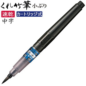 y10{܂Ń[OKz|  |M Ԃ  J[gbW CNWFbgΉ My ̂  N  QDDM162-32B