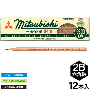 y6܂Ń[OKzOHM TCNM 9800EW [2B] Zp 1_[X/12{ K9800EW2B ҂ M  O[w@Ki