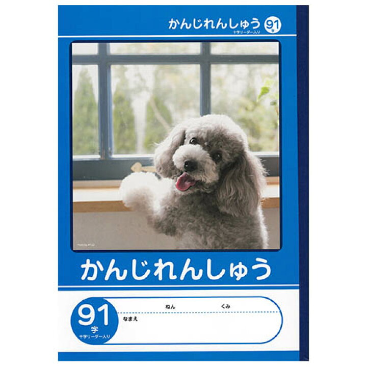 楽天市場 7冊までネコポス対応 Nk学習帳 かんじれんしゅう 91字リーダー入り 小学1 4年生 Nkb B5g Ka91j 漢字練習帳91字 かんじドリルようノート 小学生 ノート ぶんぶん文具屋さん