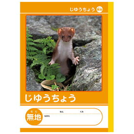 【7冊までメール便OK】NK学習帳 じゆうちょう [無地] 小学1年生・2年生 NKB-B5G-JIH 自由帳 小学生 ノート