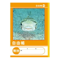【7冊までメール便OK】NK学習帳 自由帳 [無地] 小学3～6年生 NKB-B5G-JIK じゆうちょう 小学生 ノート