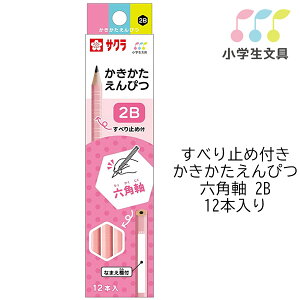 y6_[X܂Ń[OKz TNNpX w ׂ~ߕt ҂Zp 2B [ sN ] 1_[X (12{) G6Gsc2B-20