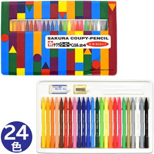 TNNpX N[s[yV24Fi\tgP[XjyFY24R1z