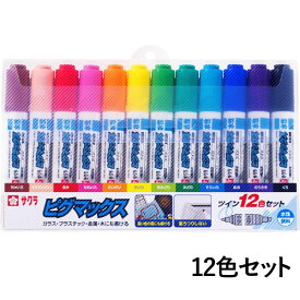 【2個までメール便OK】サクラクレパス ピグマックスツイン [12色セット] ZPK-T12 水性ペン ツインペン