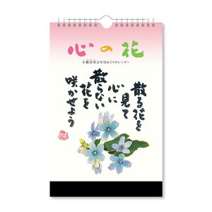 y1̂݃[OKzV{J_[ J_[ S̉ ֎p N߂J_[ [285×182mm] NK-8651 J_[ Ǌ| NJ_[