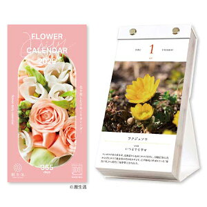 �V���{�J�����_�[ 2026�N�J�����_�[ ��� �Ԃ̓��߂��� [175×87mm] �P�[�X���� �ߘa8�N ��� ���߂���J�����_�[ �Ԃ̔������ʐ^ �Ԍ��t NK-8829