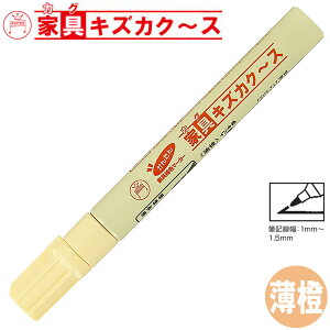 y20{܂Ń[OKzwH M^[ Ƌ LYJN[X [  x[W ] ƋẼLYB LYJN`X LY B F FSH5P-T17